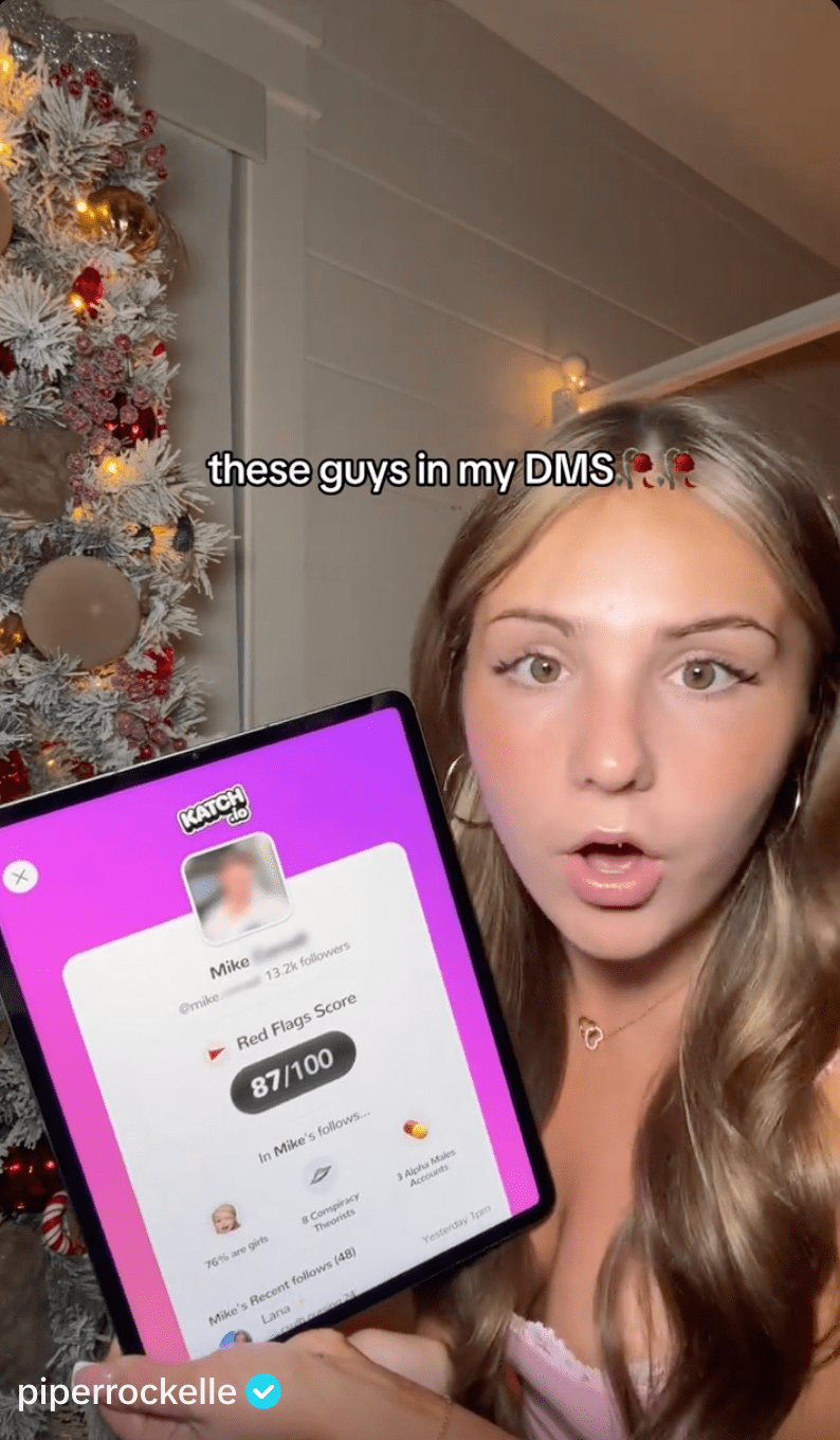 TikTok Story